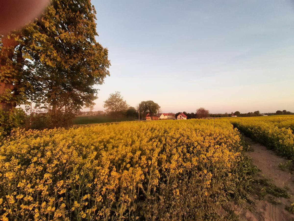 Noclegi Zdzislaw Sieradzki Zbiczno Exterior foto